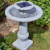 Smart Solar Chatsworth Bird Bath Solar Powered Water Feature 1 Smart Solar Chatsworth Bird Bath Solar Powered Water Feature -Growhaus Zone 1170528 giant