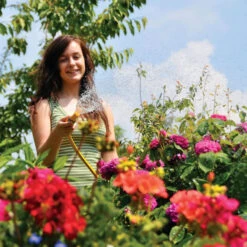 Hozelock Hose Nozzle With Waterstop -Growhaus Zone 2292