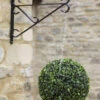 Topiary Ball - 40cm -Growhaus Zone 5040010 giant