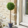 Uno Ball Topiary Tree - 40cm 2 Uno Ball Topiary Tree - 40cm -Growhaus Zone 5045085 giant