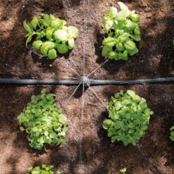 Hozelock Easy Drip Universal Watering Kit 9 Hozelock Easy Drip Universal Watering Kit -Growhaus Zone 7023 dripper 2