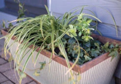 Kelkay Plant Avenue Urban Collection Irondale Trough In Silver 12 Kelkay Plant Avenue Urban Collection Irondale Trough In Silver -Growhaus Zone 90300 angle giant