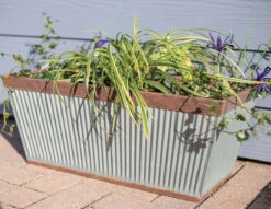 Kelkay Plant Avenue Urban Collection Irondale Trough In Silver 11 Kelkay Plant Avenue Urban Collection Irondale Trough In Silver -Growhaus Zone 90300 life giant