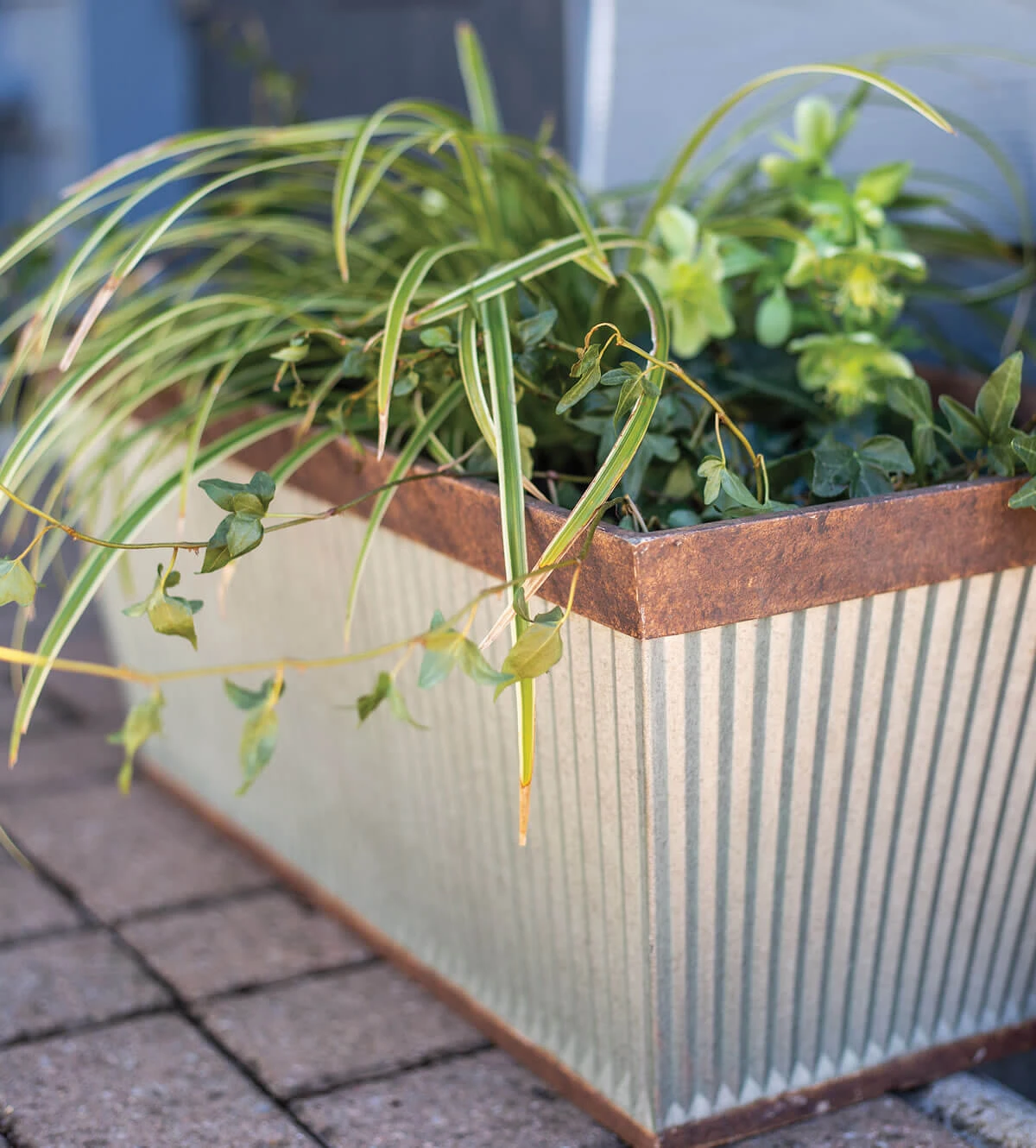 Kelkay Plant Avenue Urban Collection Irondale Trough In Silver 4 Kelkay Plant Avenue Urban Collection Irondale Trough In Silver - Image 2