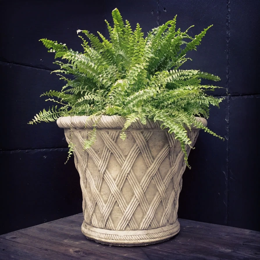 Pair Of Elizabethan Pot Stone 3 Pair Of Elizabethan Pot Stone