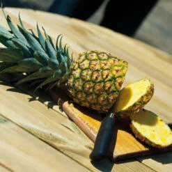 Pine FSC Gleneagles 8 Seater Picnic Table By Alexander Rose -Growhaus Zone gleneagles detail large