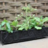 Haxnicks Vigoroot Long Planter