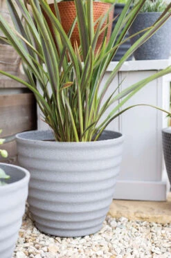 Kelkay Plant Avenue Stone Collection Large Hudson Pot In Grey