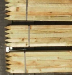 Rainbow Tree Defenders With Stakes - 150cm Tall - X10 -Growhaus Zone l 1.2 squares 1