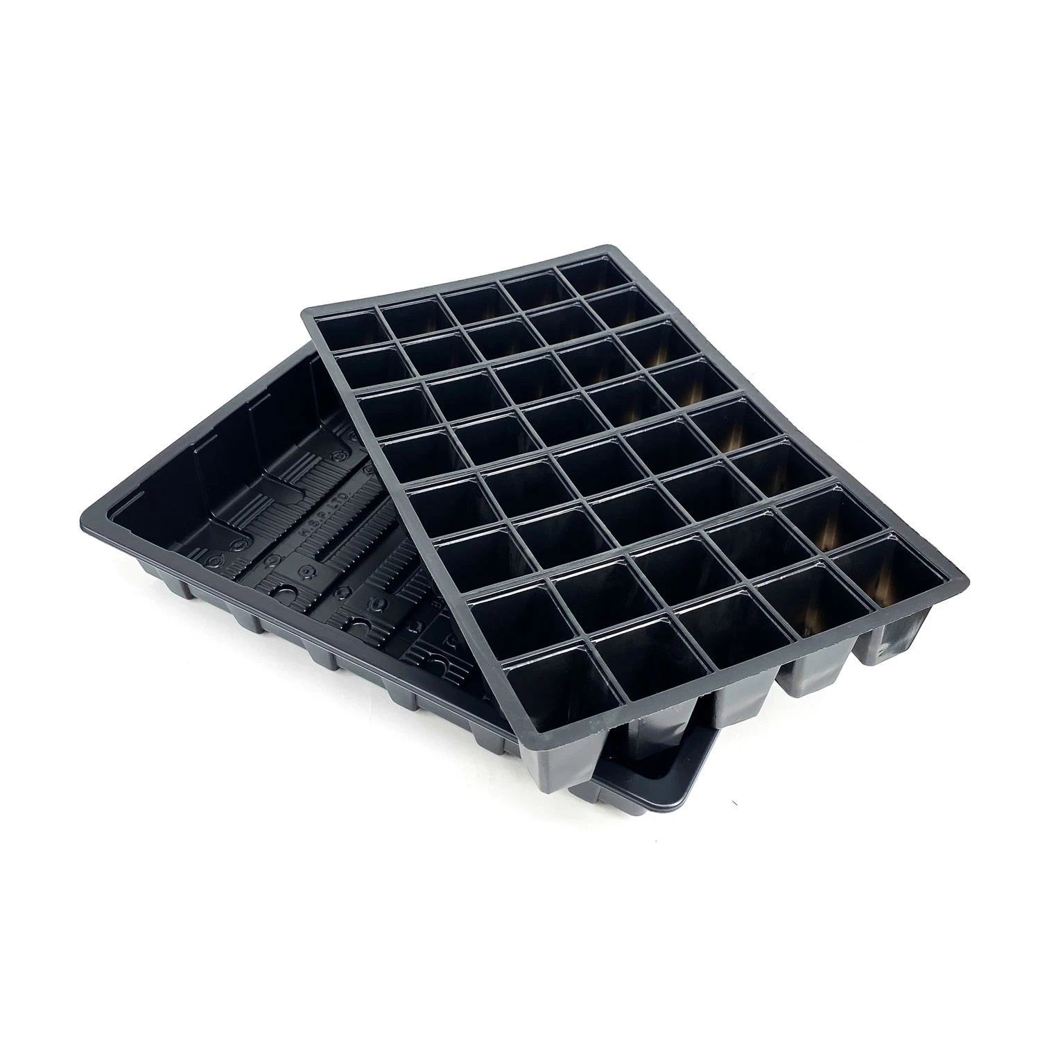 Nutley's Seed Tray With 40 Cell Insert - Tray: With Holes 4 Nutley's Seed Tray With 40 Cell Insert - Tray: With Holes - Image 2