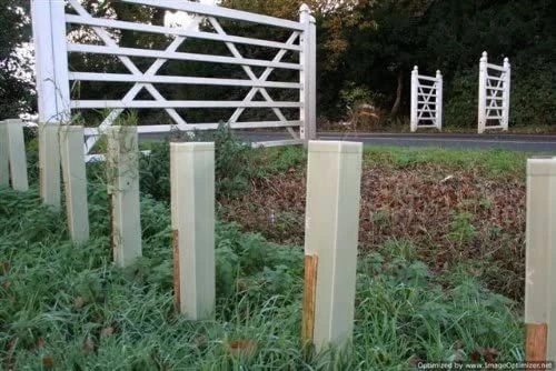 Rainbow Tree Defenders With Stakes - 75cm Tall - X10 3 Rainbow Tree Defenders With Stakes - 75cm Tall - X10