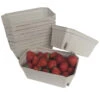 Nutley's 500g Biodegradable Fruit Punnets