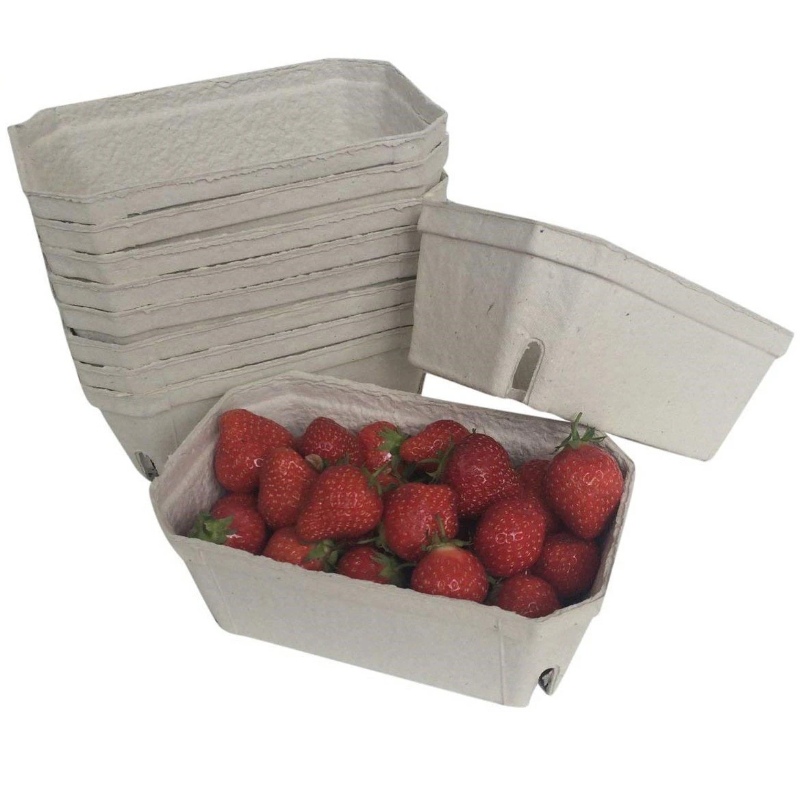 Nutley's 500g Biodegradable Fruit Punnets 3 Nutley's 500g Biodegradable Fruit Punnets