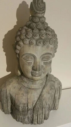 Buddha Head - Reinforced Concrete -Growhaus Zone l 71KiJYpPaLL. AC SL1500