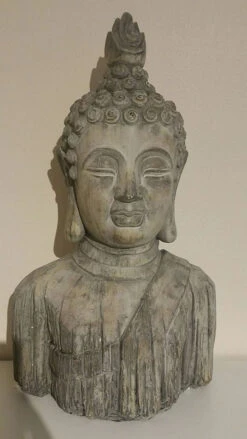 Buddha Head - Reinforced Concrete -Growhaus Zone l 71LypsdAJOL. AC SL1500