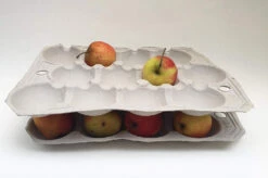Nutley's 12 Hole Biodegradable Apple Trays -Growhaus Zone l 81EFvx2 neL. SL1500 1024x1024@2x
