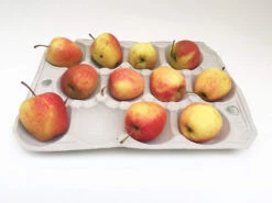 Nutley's 12 Hole Biodegradable Apple Trays -Growhaus Zone l 81sauHxqv0L. SL1500 1024x1024@2x