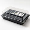 Nutleys 60 Cell Full Size Seed Propagator Set - Tray: Without Holes