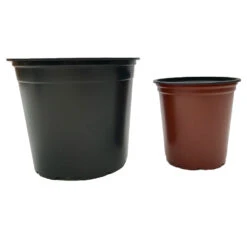 Nutley's Mixed 9cm And 13cm Round Plastic Pots Duo (25 Of Each)