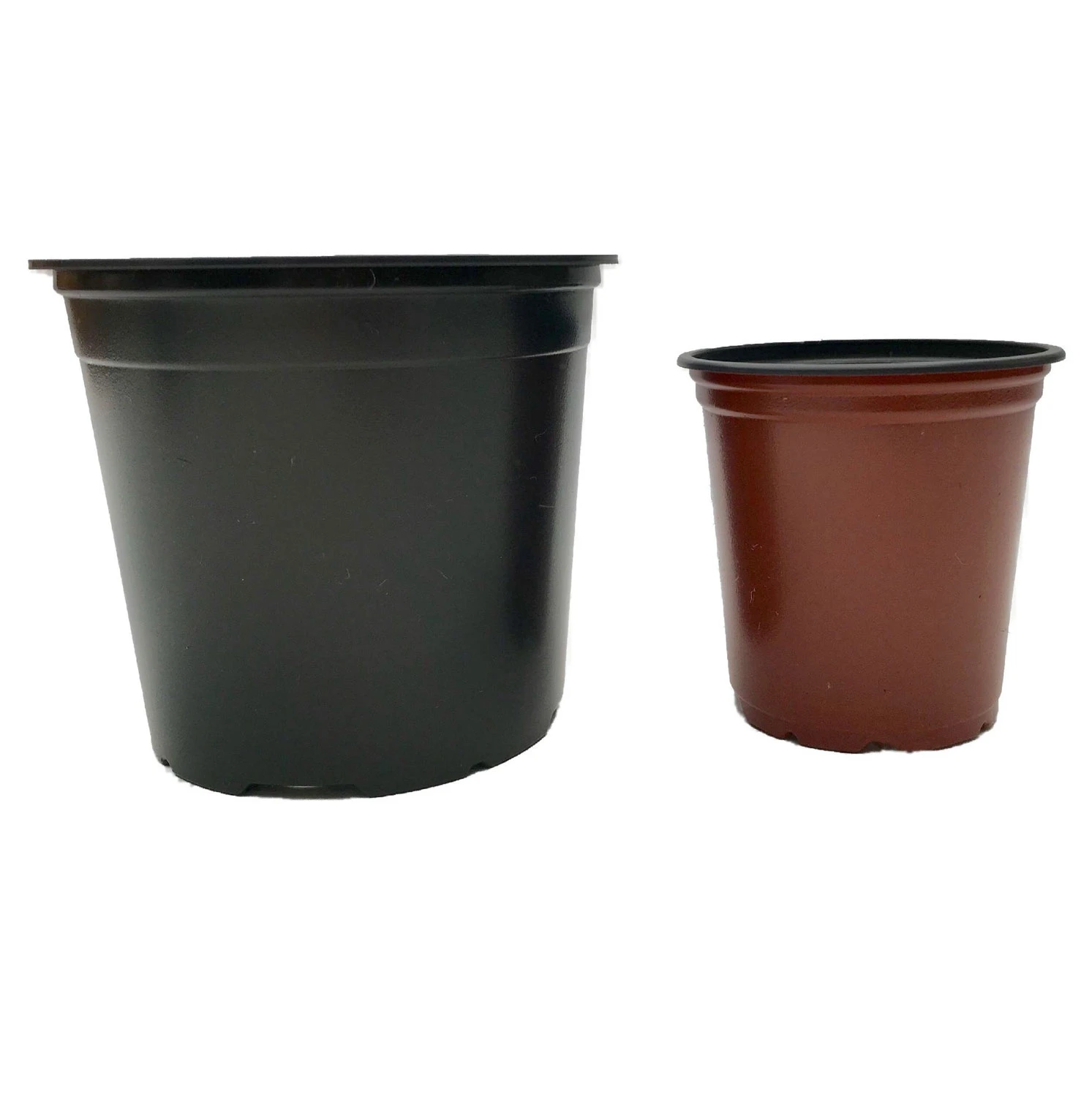 Nutley's Mixed 9cm And 13cm Round Plastic Pots Duo (25 Of Each) 3 Nutley's Mixed 9cm And 13cm Round Plastic Pots Duo (25 Of Each)