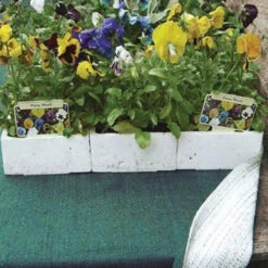 Nutley's 1m Wide Aquamat Capillary Matting 7 Nutley's 1m Wide Aquamat Capillary Matting -Growhaus Zone l B0721Q6P2W.PT02 6dd6f892 29a5 4618 ad07 7a3d9add98d4 1024x1024@2x