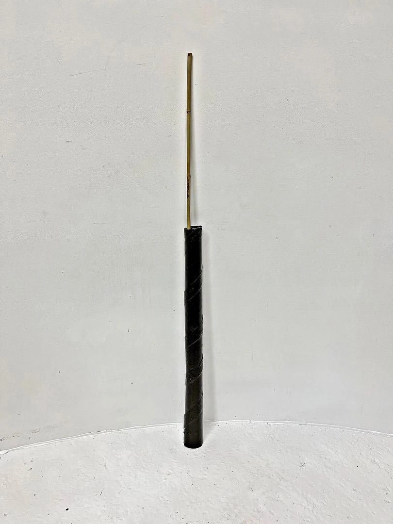 Brown Spiral Tree Guards With Canes - 60cm X 38mm 5 Brown Spiral Tree Guards With Canes - 60cm X 38mm - Image 3