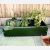Everlasting Plain Aluminium Raised Bed 100cm Long X 100cm Wide -Growhaus Zone l ERB1
