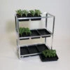 Economy Seed Tray Rack