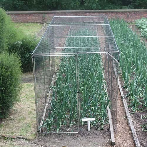 Standard Fruit Cage 183cm High X 183cm Wide X 183cm Long 3 Standard Fruit Cage 183cm High X 183cm Wide X 183cm Long