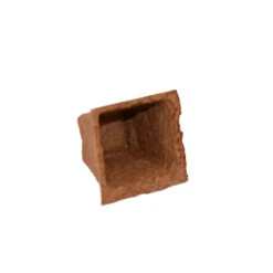 Nutley's 6cm Square Biodegradable Organic Wood Fibre Plantable Plant Pots -Growhaus Zone l FTL05 5 1024x1024@2x