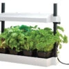 Garland Micro Grow Light Garden Propagator