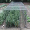 Heavy Duty Fruit Cage 213cm X 488cm X 1707cm With Bird Netting -Growhaus Zone l HDC1 4