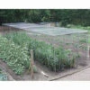 Heavy Duty Fruit Cage 213cm X 488cm X 1707cm With Butterfly Netting -Growhaus Zone l HDC2 2