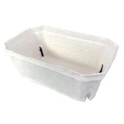 Nutley's 250g Biodegradable Fruit Punnets -Growhaus Zone l IMG 2045 1024x1024@2x