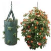 Nutley's Hanging Tomato Planter Pouch -Growhaus Zone l LBS29 Nutley s hanging tomato planter bag 1024x1024@2x