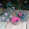 Tricycle Plant Pot Holder With Pink Flower Motifs - 40cm Tall -Growhaus Zone l PL38 1