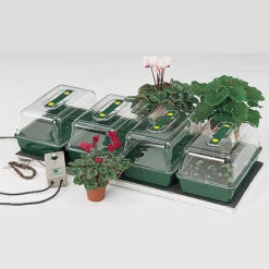 Quadruple Plant Propagator