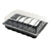 Nutley's 40 Cell Full Size Seed Propagator Set - Tray: Without Holes