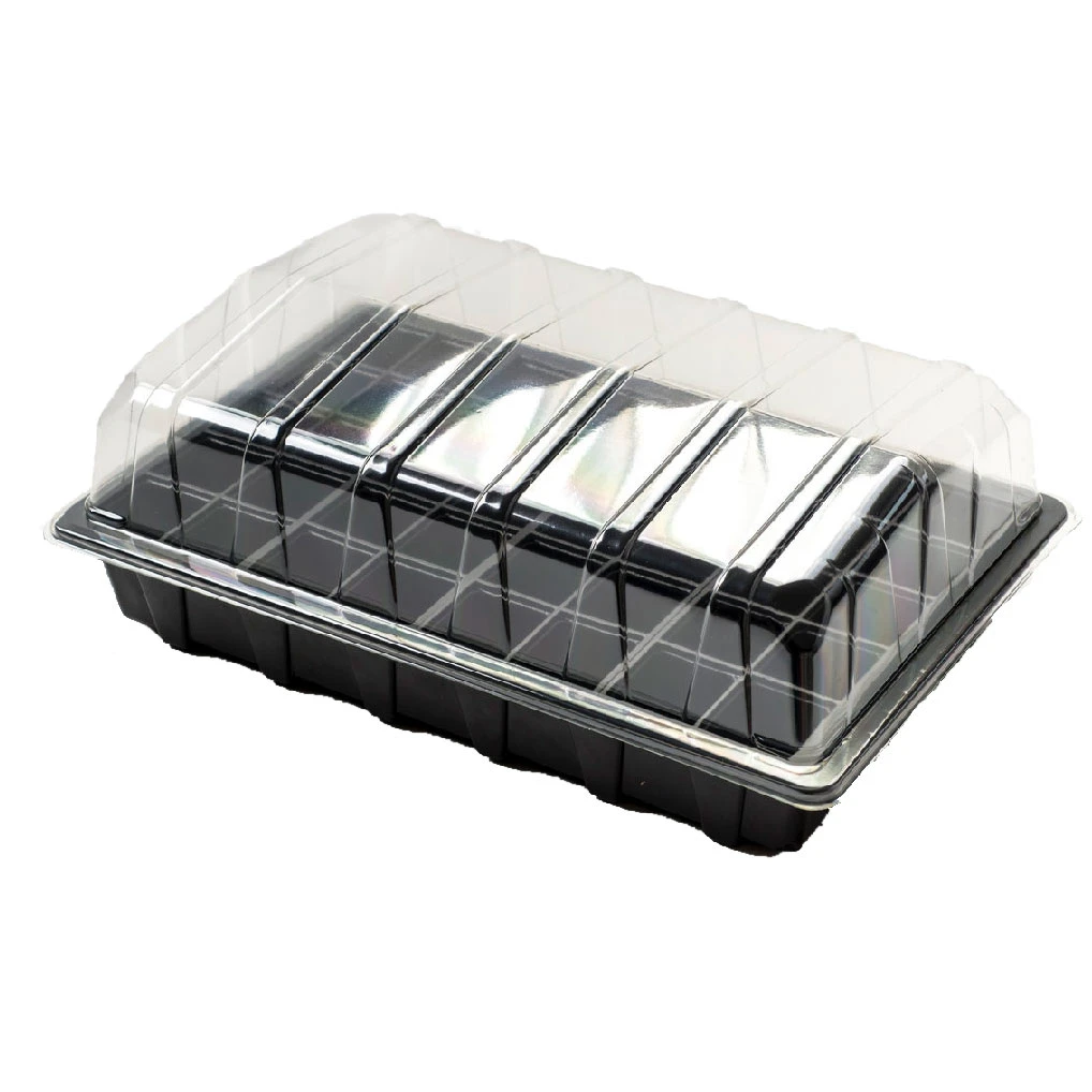Nutley's 40 Cell Full Size Seed Propagator Set - Tray: With Holes 3 Nutley's 40 Cell Full Size Seed Propagator Set - Tray: With Holes