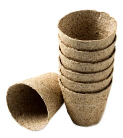 Nutley's 6cm And 8cm Round Jiffy Peat-Free Fibre Plant Pots Duo (25 Of Each) -Growhaus Zone l Photo 18 02 2016 16 46 20 5d953877 7822 43f6 a2db 18c926753879 1024x1024@2x