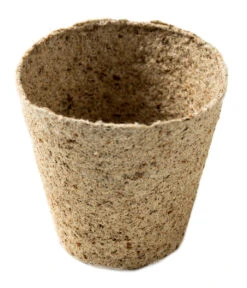 Nutley's 6cm And 8cm Round Jiffy Peat-Free Fibre Plant Pots Duo (25 Of Each) -Growhaus Zone l Photo 18 02 2016 16 48 25 d16f16fc 4d5a 4466 b5a2 0aaad7f1e95d 1024x1024@2x