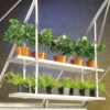 One Pair Hanging Shelves To Fit To Greenhouse Roof - 86cm X 15cm
