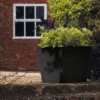 Stewart 48cm Low Square Basalt Planter -Growhaus Zone l Stewart low square basalt 48cm