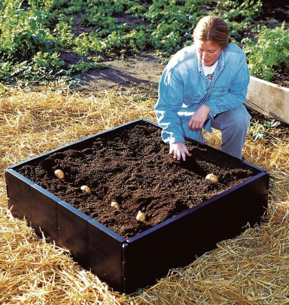 Garland Raised Grow Bed - 3ft X 3ft 3 Garland Raised Grow Bed - 3ft X 3ft
