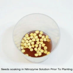 Nitrozyme - 300ml -Growhaus Zone l gtnit2 500x500 1