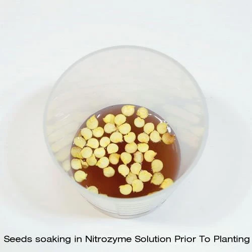 Nitrozyme - 100ml 4 Nitrozyme - 100ml - Image 2