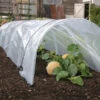 Haxnicks Giant Easy Polytunnel Cloche -Growhaus Zone l hax13gp 1