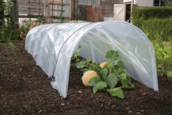 Haxnicks Giant Easy Polytunnel Cloche