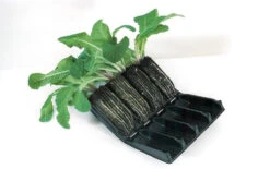 Haxnicks Deep Rootrainers Plug Plant Propagator Set -Growhaus Zone l hax14dr 2