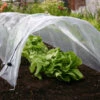 3 X Haxnicks Easy Poly Tunnel: Ready Assembled 2 3 X Haxnicks Easy Poly Tunnel: Ready Assembled -Growhaus Zone l hax55ep 1 1